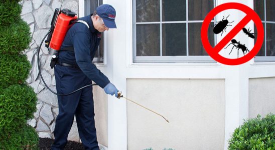 Ayvacık Böcek ve Haşere İlaçlama böcek ilaçlama ve haşere kontrolü — ilaclama-tr.com